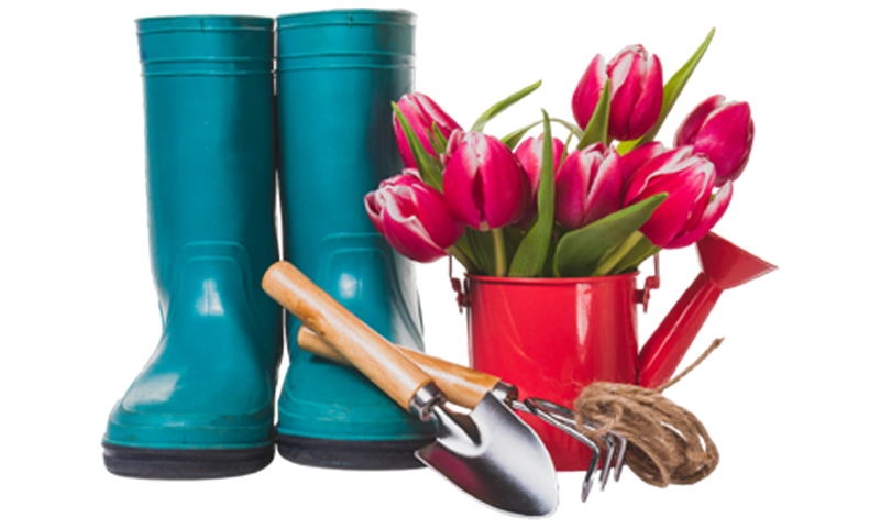 Сад и огород